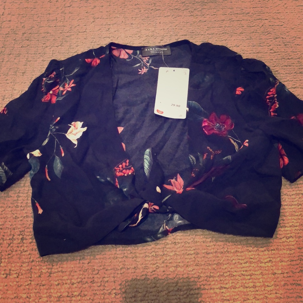 Zara crop top